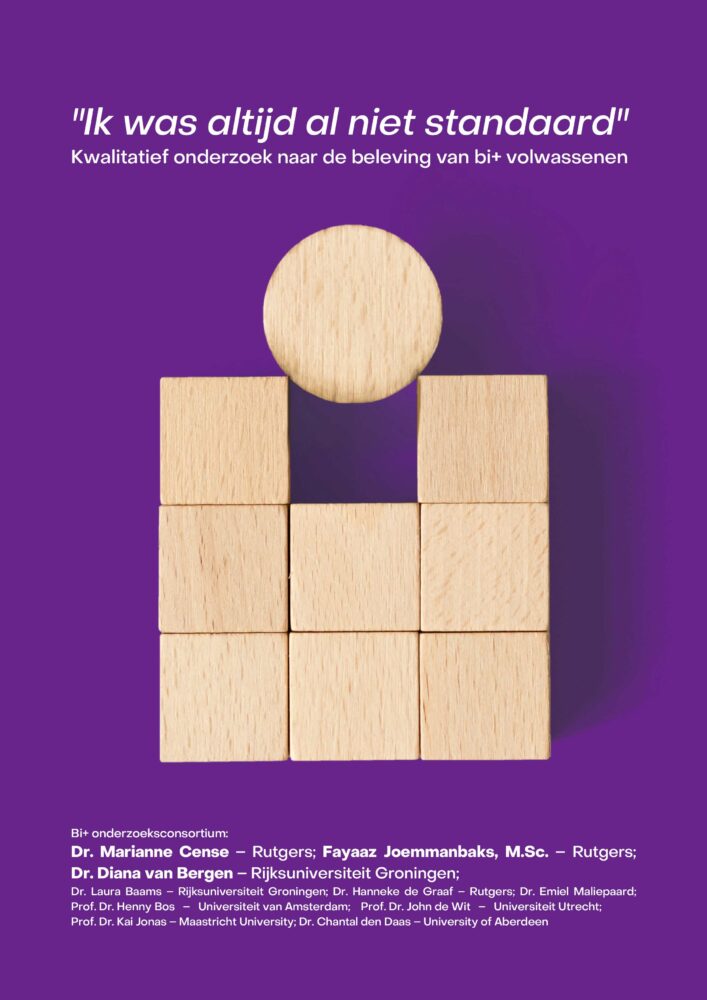 Titelpagina van onderzoeksrapport over bi+ met afbeelding van rond blokje dat niet past tussen de vierkante houten blokjes